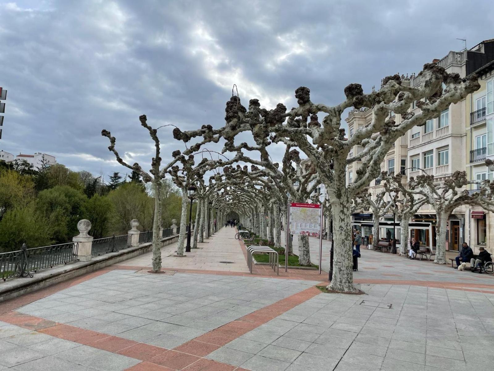 BurgoEl Farolillo De La Catedral Vivienda De Uso Turistico Vut 9/251アパートメント エクステリア 写真